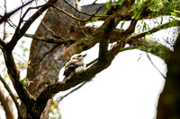 20201225_Hike-005