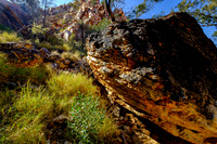 202309_WestMacDonnell_013