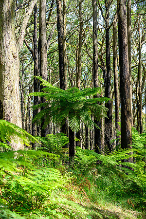20201225_Hike-022