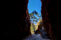 202309_WestMacDonnell_020