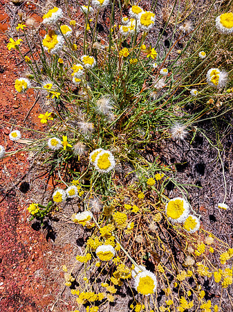 202309_KingsCanyon_052