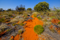 202309_PalmValley_012