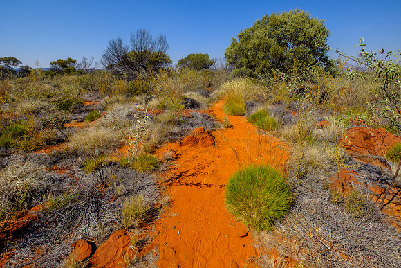 202309_PalmValley_012