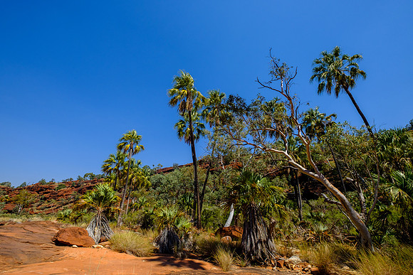 202309_PalmValley_025