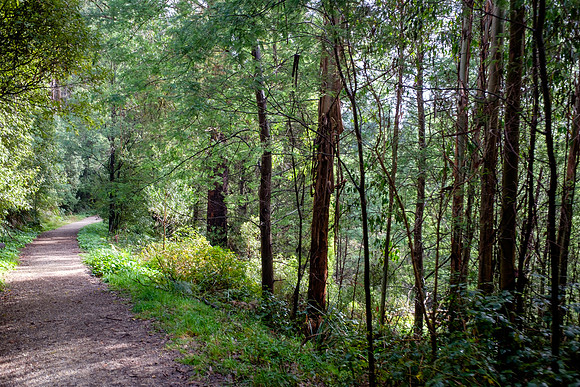 20210424_Arboretum-002