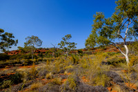 202309_PalmValley_011