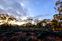 202309_MelbourneAlice_019