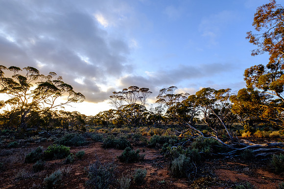 202309_MelbourneAlice_019