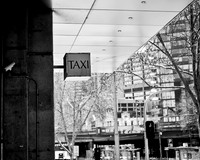 202008_NikonZ7_018