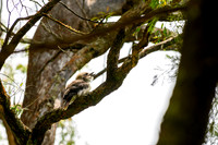 20201225_Hike-003