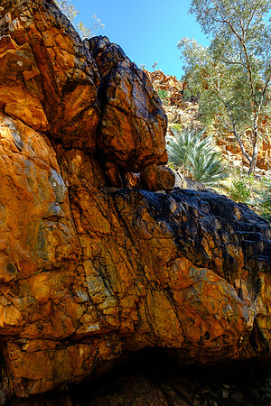202309_WestMacDonnell_026