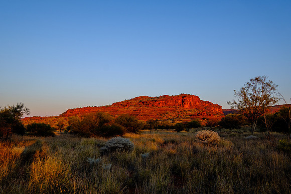 202309_PalmValley_055