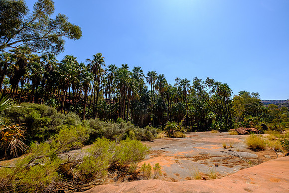 202309_PalmValley_029