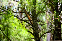 20201225_Hike-002