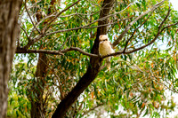 20201225_Hike-010