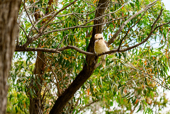 20201225_Hike-010