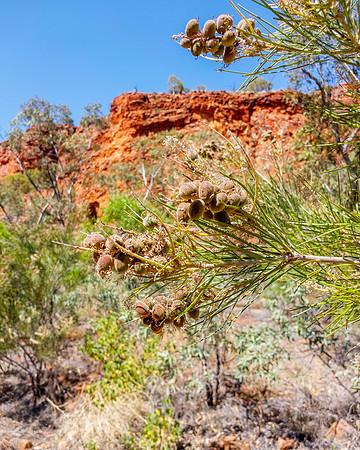 202309_KingsCanyon_054