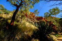 202309_WestMacDonnell_007