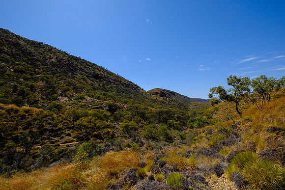 202309_WestMacDonnell_033