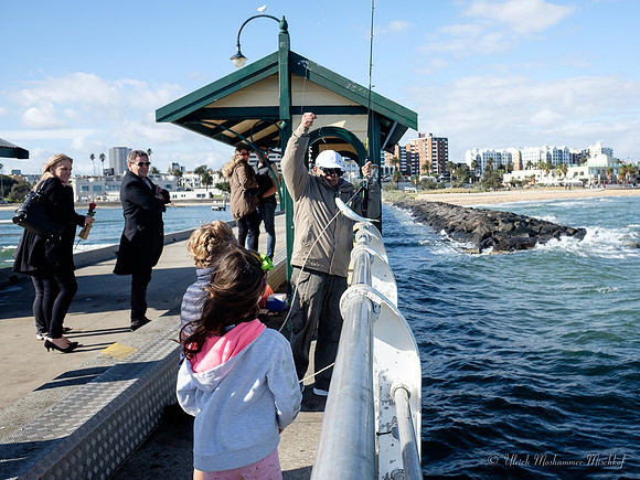 catching-fish-at-st-kilda-pier_27204070517_o