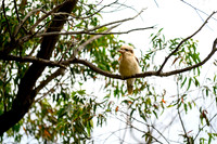20201225_Hike-011