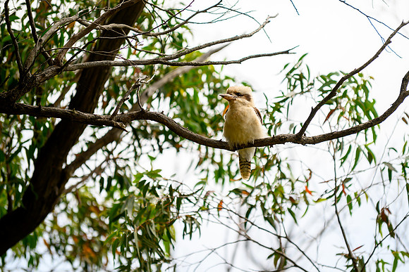 20201225_Hike-011