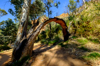 202309_WestMacDonnell_005