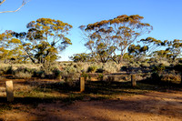202309_MelbourneAlice_006