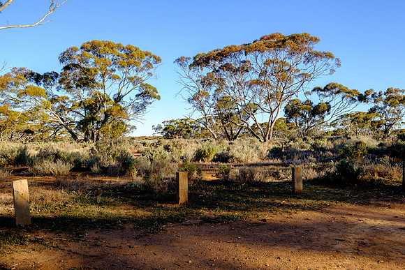 202309_MelbourneAlice_006