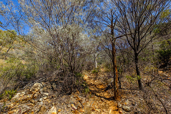 202309_WestMacDonnell_032