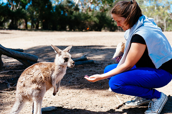 _aus7039jpg_32978640931_o