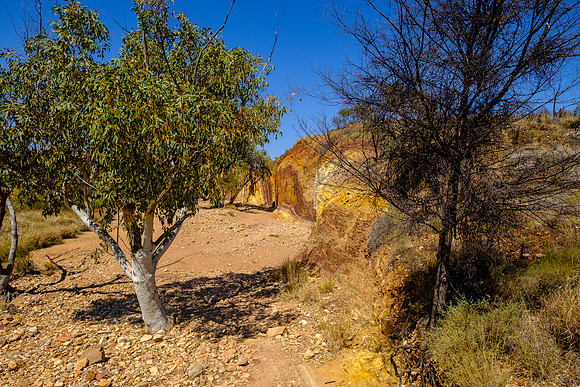 202309_WestMacDonnell_121