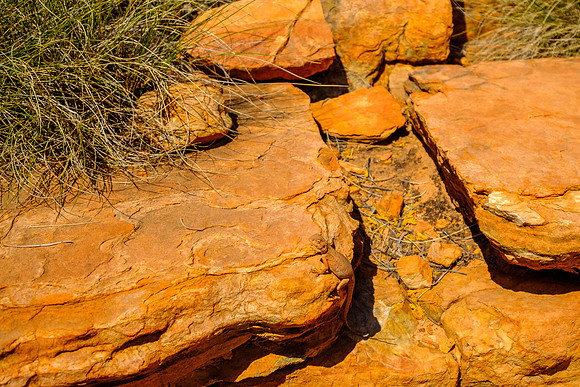 202309_KingsCanyon_047