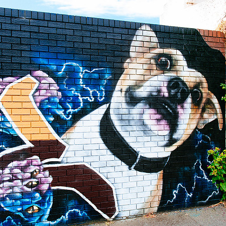 _aus5698jpg_33106089195_o