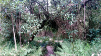 dsc_0153jpg_32529405844_o