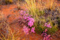 202309_Uluru_010