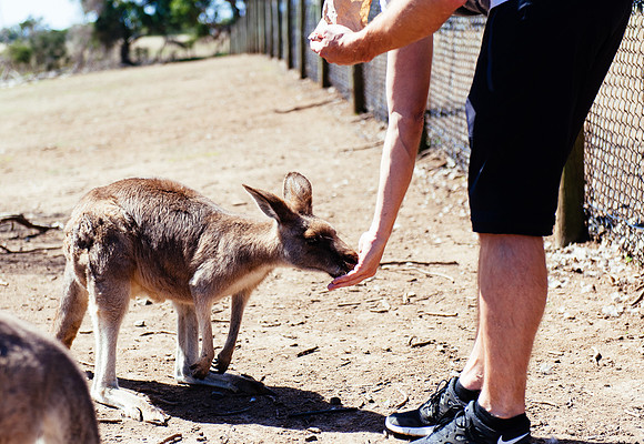 _aus7059jpg_33105806045_o
