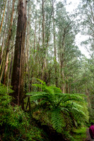 20210424_Arboretum-004