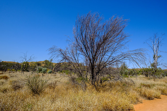202309_WestMacDonnell_116