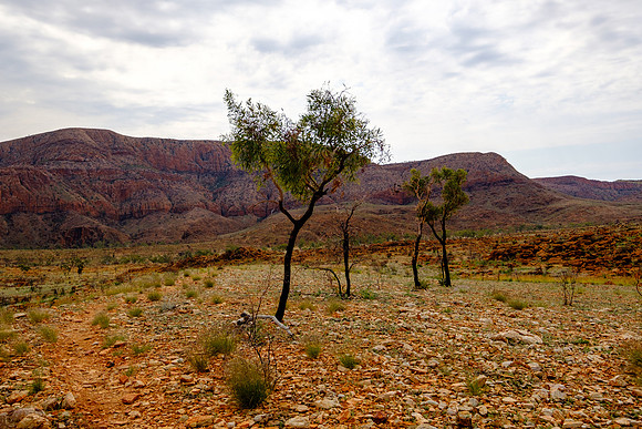 202309_WestMacDonnell_060