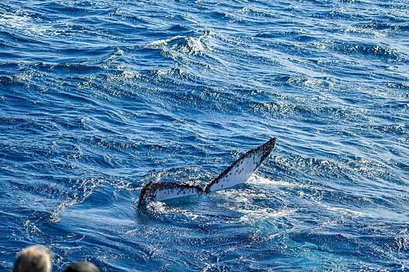 8-_DSC3365
