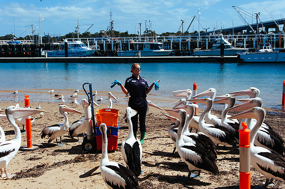 _aus6814jpg_33105704475_o