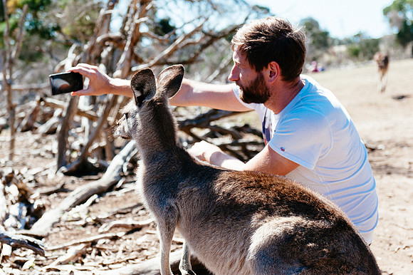 _aus7056jpg_32949277272_o