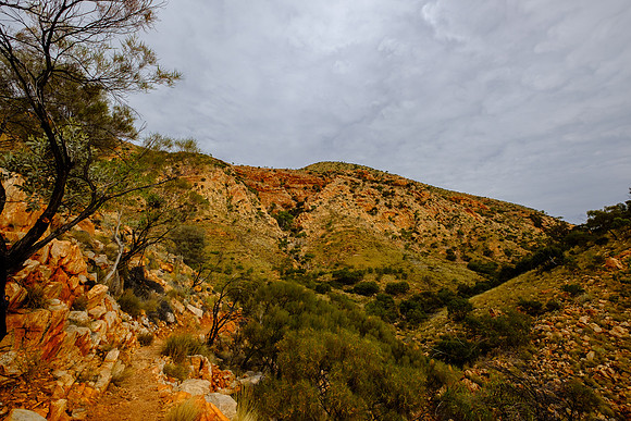 202309_WestMacDonnell_058