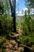202411_CapeConran_002