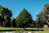 20201220_Fitzroy-011