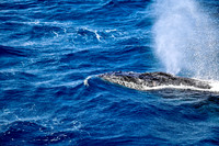 11-_DSC3241