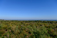 20210403 - French Island