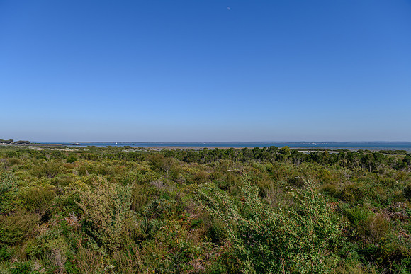 DSC_1977