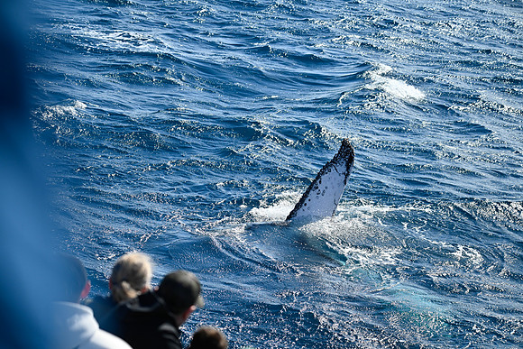 7-_DSC3371